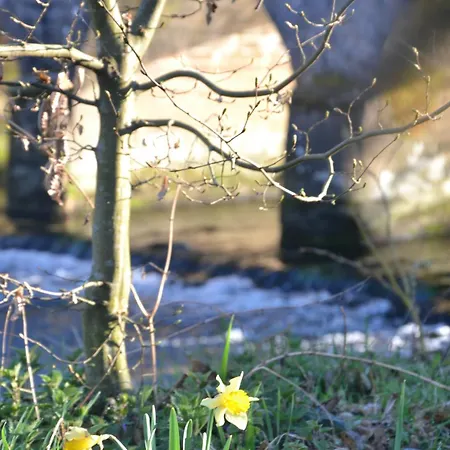 Des Aigrettes, Les 1000 Etangs Alpehytte